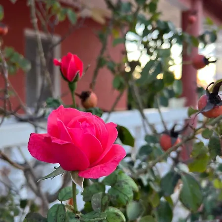 El Escondite * Olocau